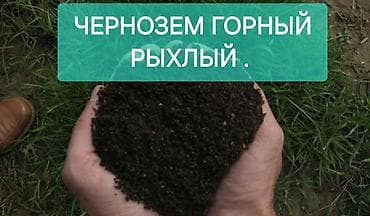 чернозем для комнатных растений: Чернозём горный, рыхлый. - Структура: однородная, мелкозернистая — 1