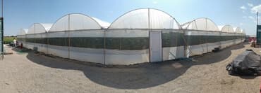 садовый измельчитель: Теплица, предназначенная для выращивания различных — 1