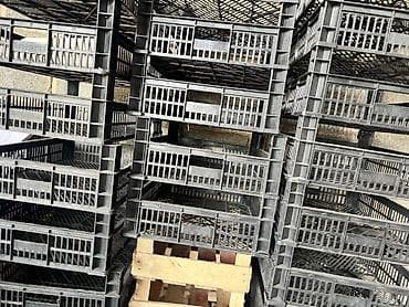ящики деревянные для фруктов: Пластиковый Ящик — 2