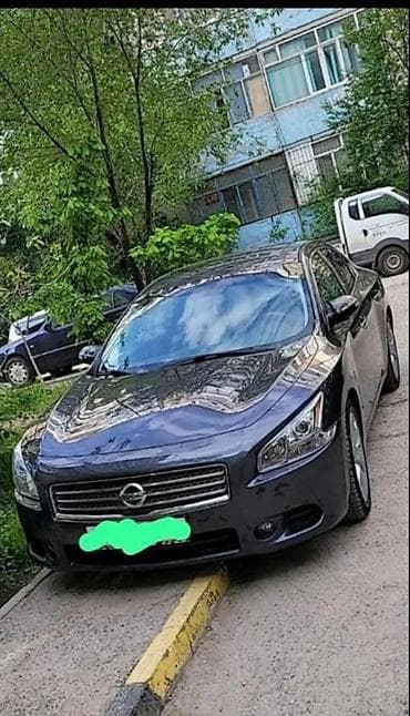 maxima j30: Nissan Maxima: 2010 г., 3.5 л, Автомат, Бензин, Седан — 3