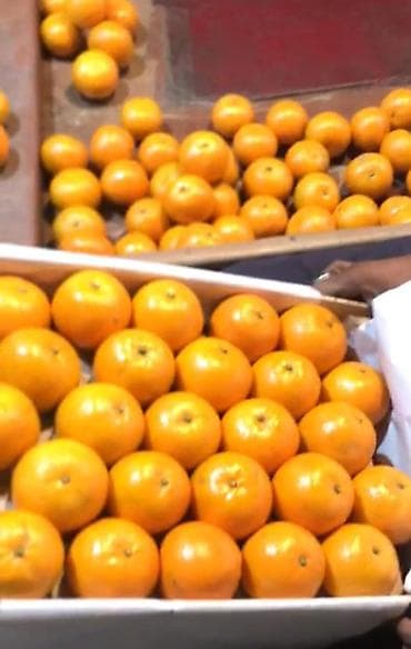 Мандарины Оптом at lalafo.kg Мандарины Оптом