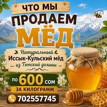 Продукты питания: Натуральный иссык-кульский мёд из Тюпской долины. Ароматный, янтарный — 1