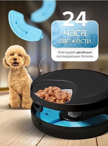 ак мышык: Умная кормушка автоматическая для собак и кошек для влажного корма или — 7