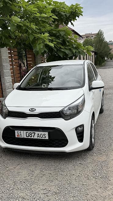 byd plus: Kia Morning: 2017 г., Автомат, Бензин, Хэтчбэк — 1