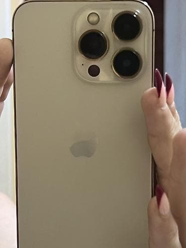 wi: IPhone 13 Pro, Б/у, 512 ГБ, Золотой, Чехол, Коробка — 3