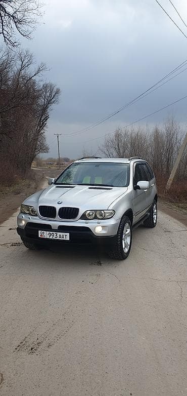 е 55: BMW X5: 2004 г., 3 л, Автомат, Дизель, Кроссовер — 1