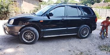 Hyundai Santa Fe: 2005 г., 2.4 л, Механика, Газ, Кроссовер