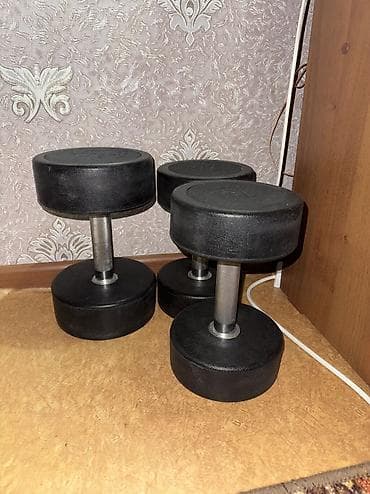 Спорт и отдых: Гантели профессиональные, монолитные, с резиновым покрытием дисков и — 1