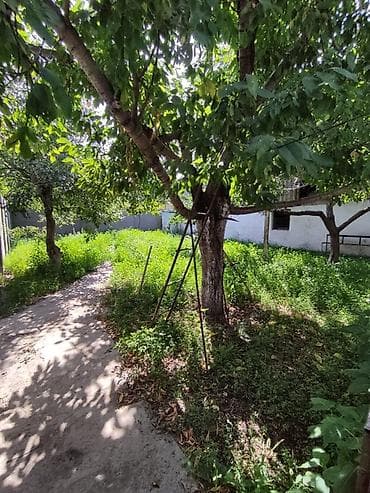 двор: 📍 В Сокулуке от трассы 250 м продается дом на участке 6 соток. 🏡Дом — 4