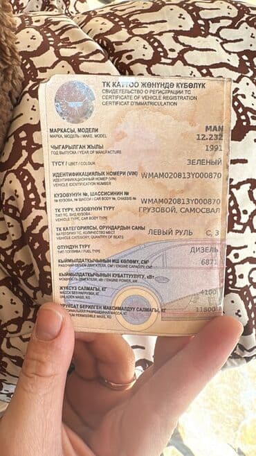 дом на кол: Грузовик, MAN, Стандарт, Б/у — 10