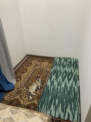 аренда ямы: Сдается отдельная комната для одного человека в среднем джале, жк — 10