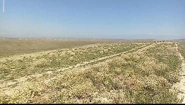 селхоз земли: 6 соток, Для сельского хозяйства — 4