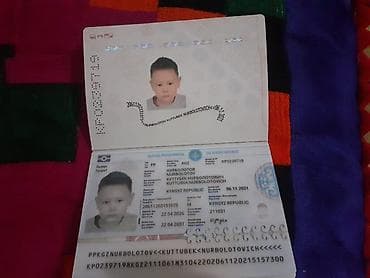 летние: Для энергии и силы, Для женщин, Порошок, Новый — 4