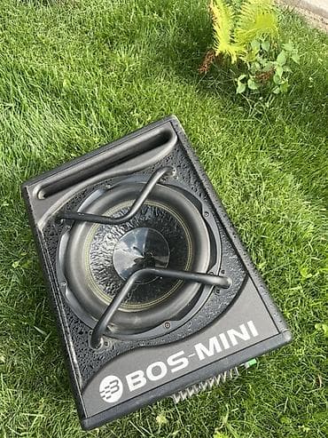 Аудиотехника: Активный уличный сабвуфер BOS-MINI - Формат: компактный активный — 4