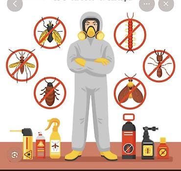 Клининг кызматтары: Профессиональная дезинсекция помещений Услуга комплексной обработки — 1