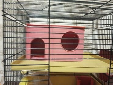 домашные куры: Могу сделать скидку. Клетка для хомяков в полной комплектации беговое — 3