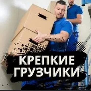 Грузчик. С опытом at lalafo.kg Грузчик. С опытом