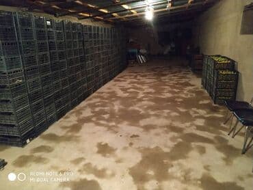 дом долгосрочная аренда: Бизнес үчүн, Кызыл китеп, Сатып алуу-сатуу келишими — 2