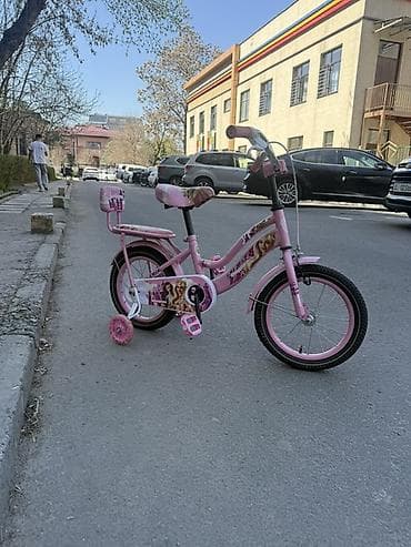 Детский транспорт: Детский велосипед, 2-колесный, 4 - 6 лет, Для девочки — 3