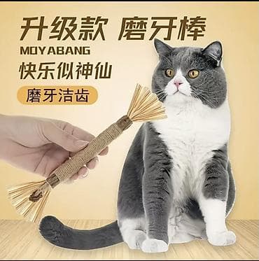 cat sofa: Набор игрушек для кошек «Большой подарок» Абсолютно новый, заказала с — 4