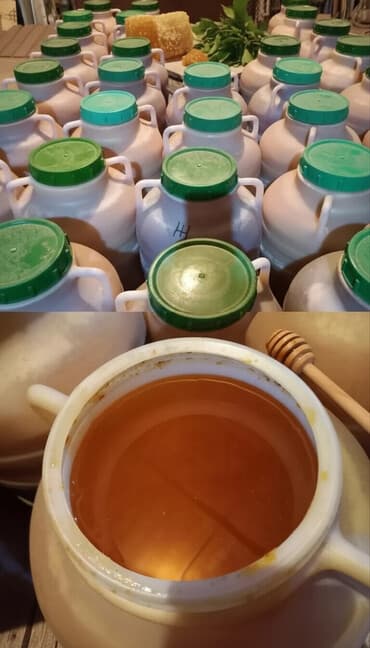 алоэ гулу жонундо маалымат: Чистый горный токтогульский мёд. - Натуральный монофлорный мёд из — 1