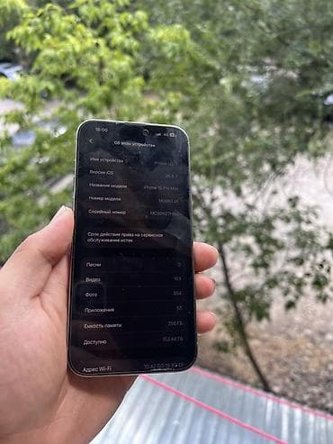 iphone 5s: IPhone 15 Pro Max, Б/у, 256 ГБ, Серебристый, Зарядное устройство, 98 % — 3