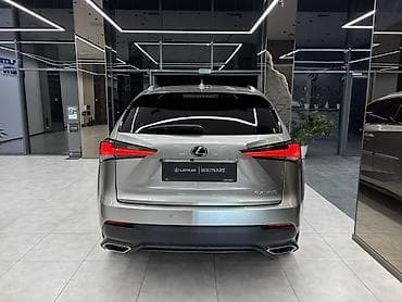 rx 7: Lexus NX: 2020 г., 2 л, Автомат, Бензин, Кроссовер — 6