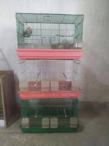 темная брама: Комплект клеток и аксессуаров для птиц Состав: - Большая напольная — 2