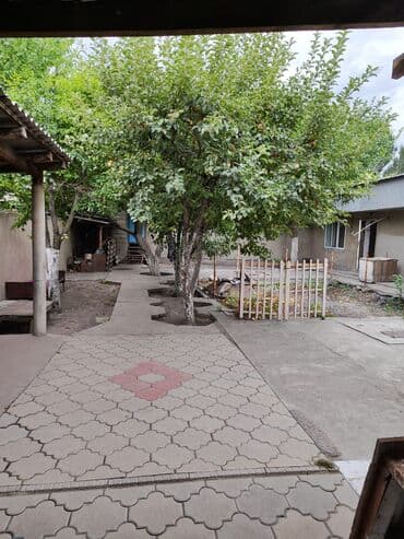 сниму дом на иссык куле: 25 кв. м, 2 бөлмө, Жылытылган — 6