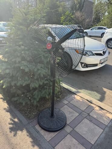 моторчик вытяжки: Вентилятор Boneco, Напольный, Лопастной — 4