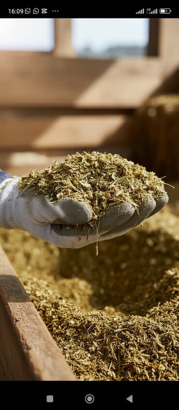 можно купить собаку: Кукурузный силос 7 сом + доставка сенаж 9000 сом + доставка качества — 2