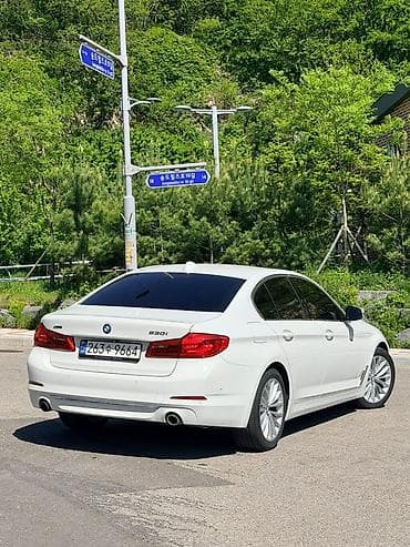 byd e2 2019: BMW 5 series: 2019 г., 2 л, Автомат, Бензин, Седан — 7