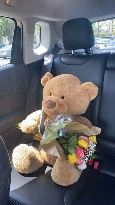 кулош шым: Мишка Ош Мишки Оптом — 7