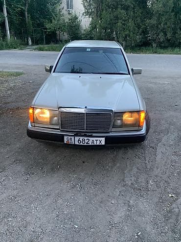 Mercedes-Benz W124: 1991 г., 2.3 л, Механика, Бензин, Седан