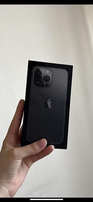 IPhone 13 Pro, Б/у, Графит, Коробка