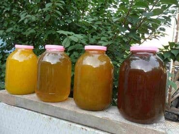 мед цена за 1 кг бишкек: Горный, натуральный мед. Успей купить пока цена низкая. От 1 кг на — 5