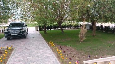 дачи на иссык куле: Коттедж, ASIAPALAC ЦО Карвен 4 сезона, Сары-Ой, Детская площадка, Парковка, стоянка, Охраняемая территория — 27