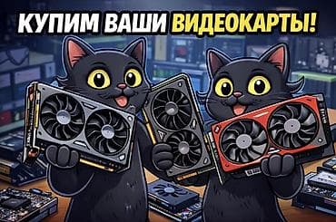 Видеокарта для ПК