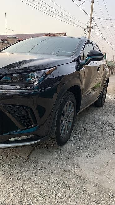 nx: Lexus NX: 2019 г., 2 л, Автомат, Бензин, Кроссовер — 2