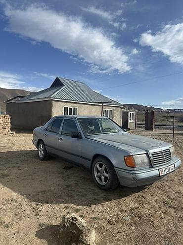 Mercedes-Benz W124: 1988 г., 2.9 л, Механика, Дизель, Седан