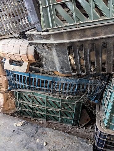 куда сдать старые вещи бишкек: Разные детали от машин запчасти из гаража приезжайте по цене — 7