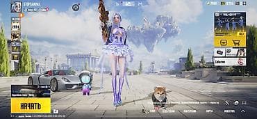 золото клон: Аккаунт PUBG Mobile с редкими коллаборациями и крупным инвентарём — 1