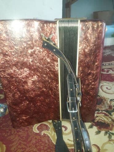 ремень для аккордеона: Аккордеон «Ринде 2» (Rinde 2) - Клавишная сторона: фортепианная — 2