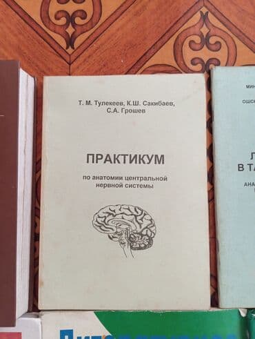 физика 11 класс электронный китеп: Мировая история, 5 класс — 3