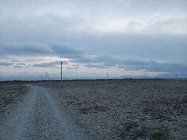 комната с подселением долгосрочно: 6 соток, Для строительства, Красная книга, Генеральная доверенность — 4