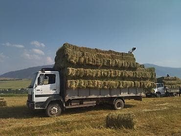 камаз вахтовка купить: Грузовик — 2