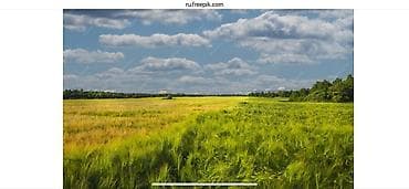 гостиница аламедин 1: 7140 соток, Айыл чарба үчүн, Сатып алуу-сатуу келишими — 1