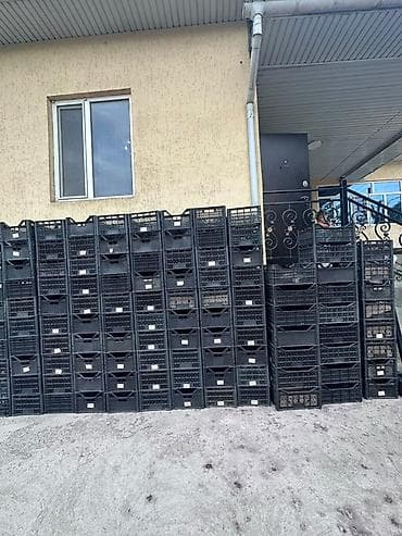 Пластиковый Ящик