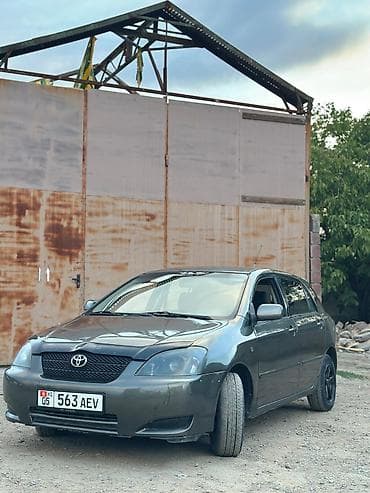 машина б у: Toyota Corolla: 2003 г., 1.6 л, Механика, Бензин, Хэтчбэк — 2