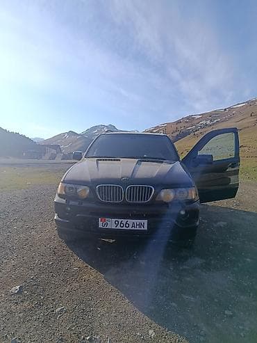 спинка: BMW X5: 2000 г., 4.4 л, Автомат, Кроссовер — 2